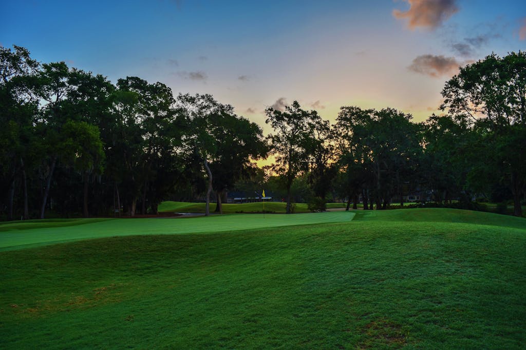 A tranquil golf course in Savannah, GA at dawn, surrounded by lush trees and soft sky colors.